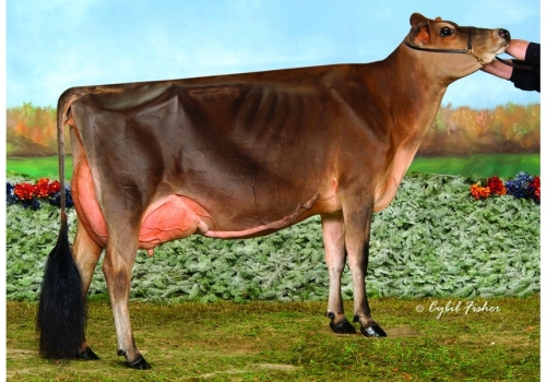 Chili-Premier-Cinema - avó de Circus.jpg