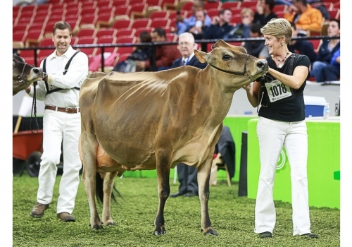 Elliots-Regency-Corrina_WDE-2019_front - irmã da mãe de Circus.jpg