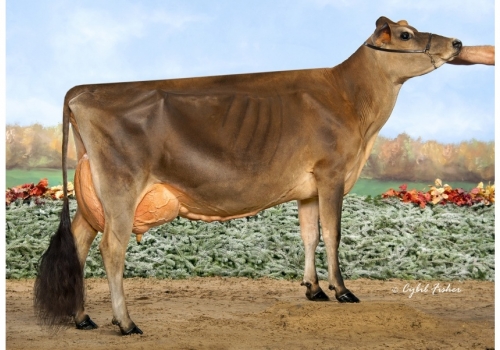 Elliotts-Regency-Corrina-ET - irmã da mãe de Circus.jpg