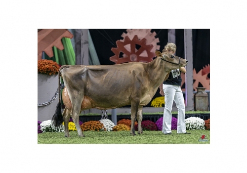 Elliotts-Regency-Corrina-WDE-2019 - irmã da mãe de Circus.jpg