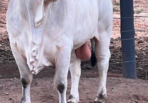 WhatsApp Image 2025-11-14 at 08.11.26.jpeg