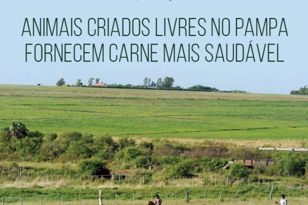 Animais criados livres no Pampa fornecem carne mais saudável 