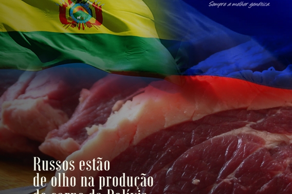 Russos estão de olho na produção de carne da Bolívia