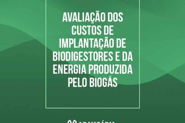  Avaliação dos custos de implantação de biodigestores e da energia produzida pelo biogás