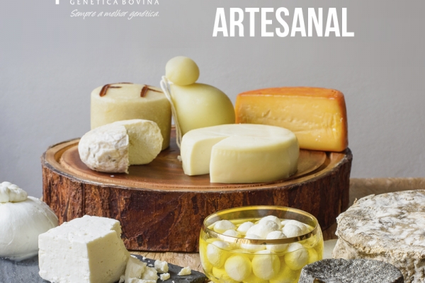 Sancionada lei que regula mercado de queijo artesanal