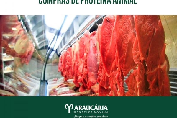 Média diária exportada de carne bovina in natura registra alta de 43,50% na primeira semana de agosto
