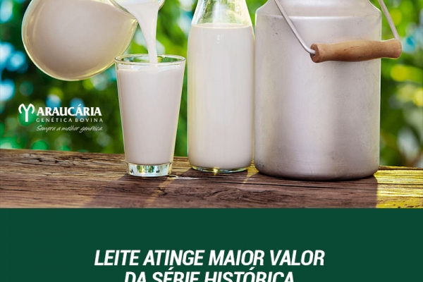   Conseleite/RS: leite entregue em agosto tem alta de 3,83% e atinge maior valor da série histórica