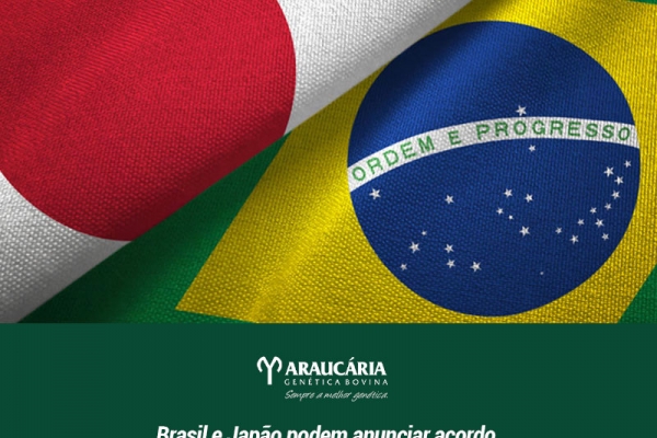 Brasil e Japão podem anunciar acordo bilateral no mercado de carne bovina