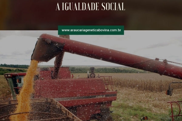 Agronegócio melhora a igualdade social, escreve Xico Graziano