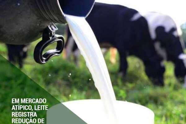 Em mercado atípico, leite registra redução de oferta e cotações aquecidas