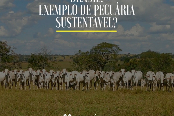 Brasil: exemplo de pecuária sustentável?