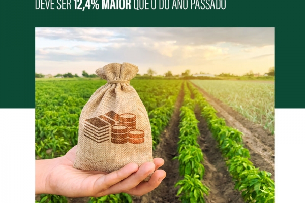 Valor da Produção Agropecuária de 2021 deve ser 12,4% maior que o do ano passado