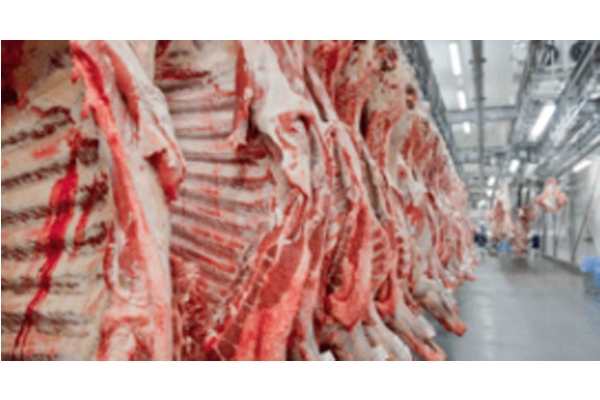 Exportações brasileiras de carne bovina in natura crescem 25,5% em abril