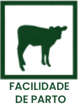 FACILIDADE DE PARTO