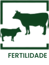 FERTILIDADE