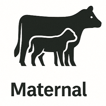 Maternal